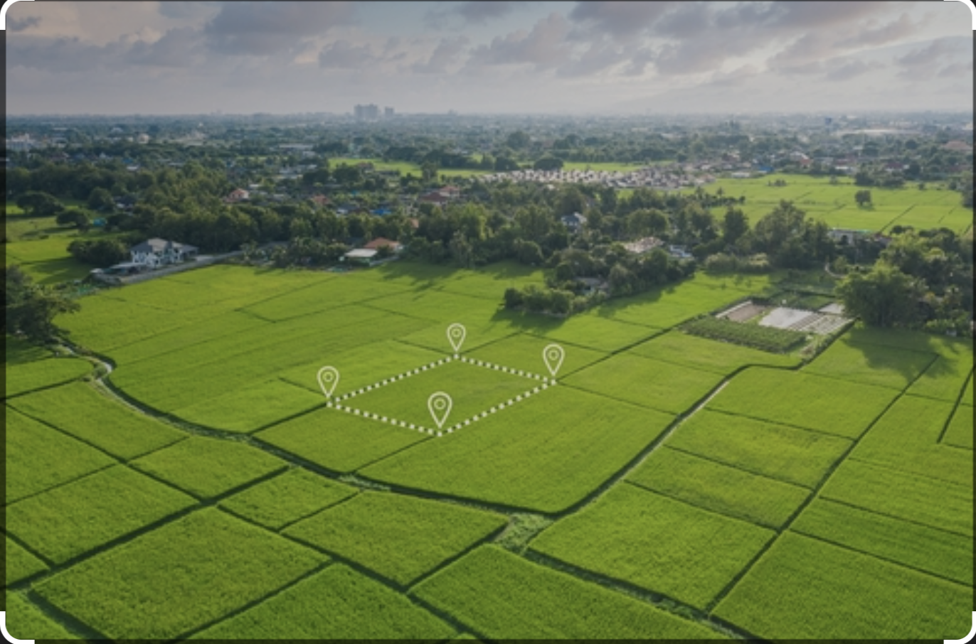 plots in noida extensions